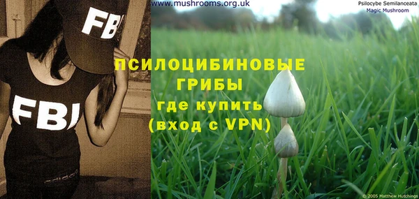 хмурый Балахна