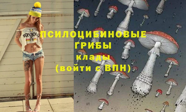 мескалин Осташков